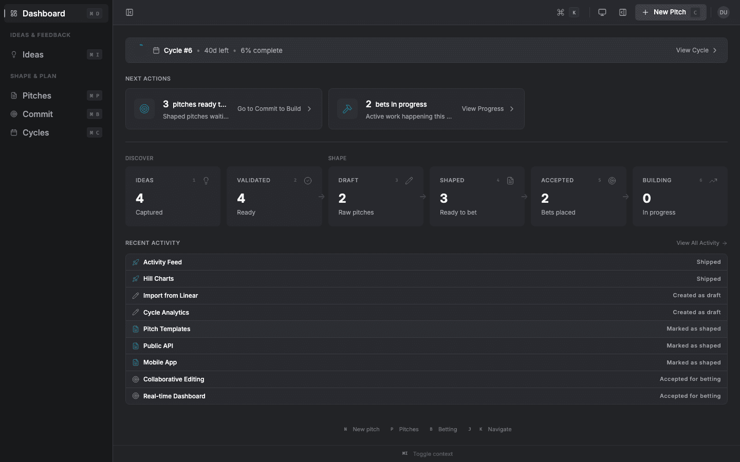 ShapePitch product strategy dashboard showing discovery stats, brief progress, and delivery overview